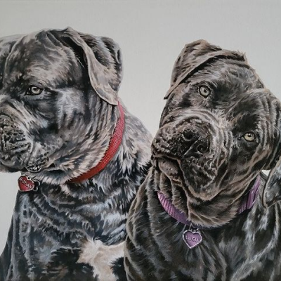 Portrait of two dogs, Roman & Lucia